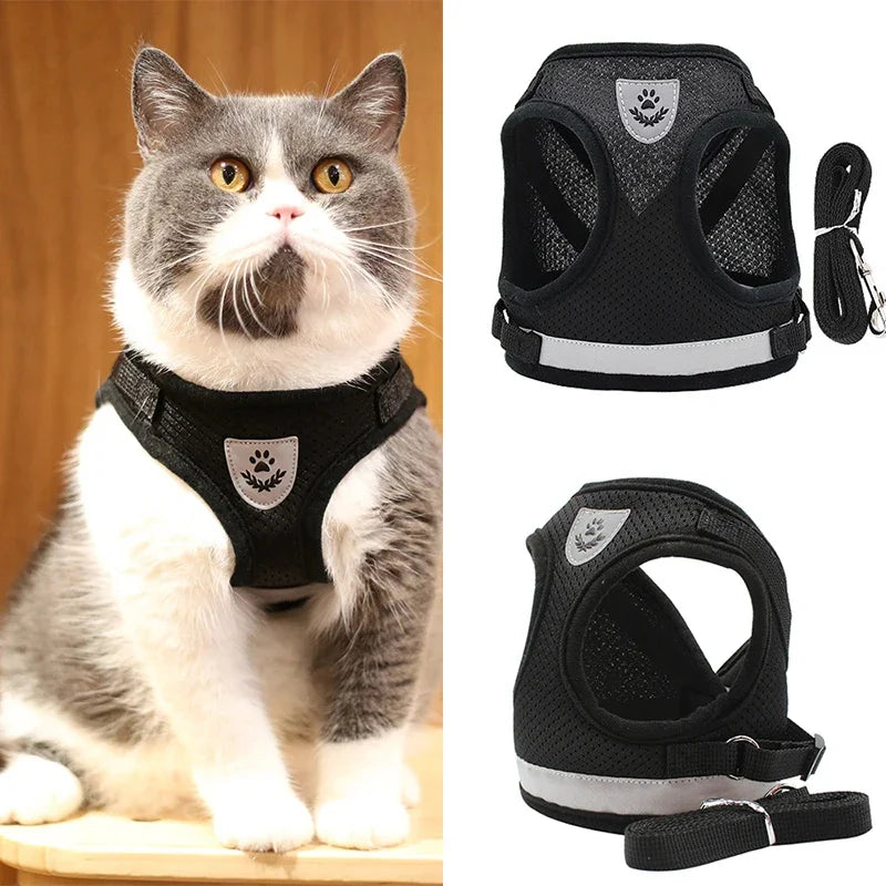 Coleira Peitoral Com Guia para Cães E Gatos  Peitoral Pawsitive