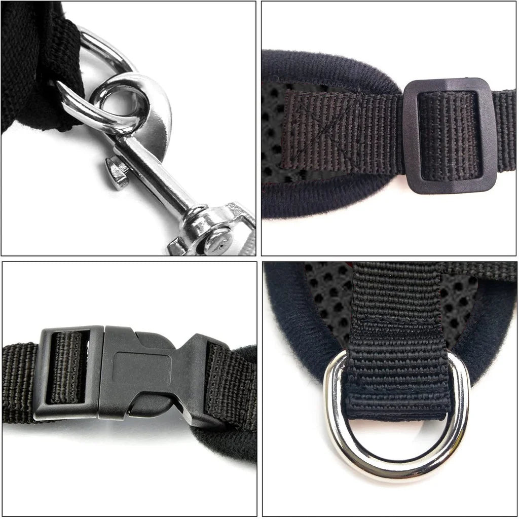 Coleira Peitoral Com Guia para Cães E Gatos  Peitoral Pawsitive