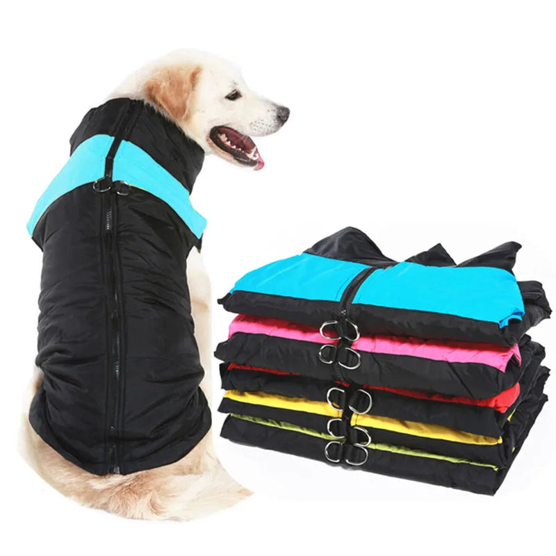 Roupas de Inverno para deixar seu Pet Quentinho e Confortável!