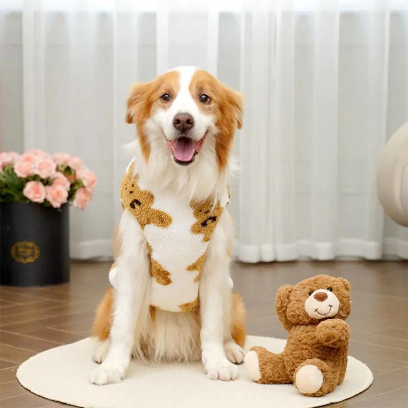 Suéter  Winter Estiloso e Quente para seu Pet