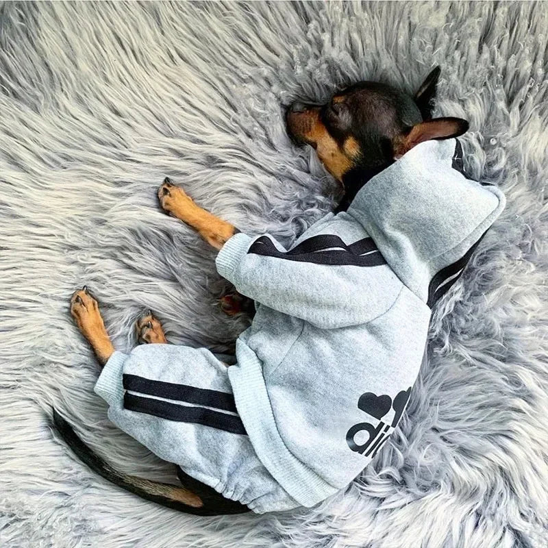 Roupas para Animais de Estimação Animal Cuddles