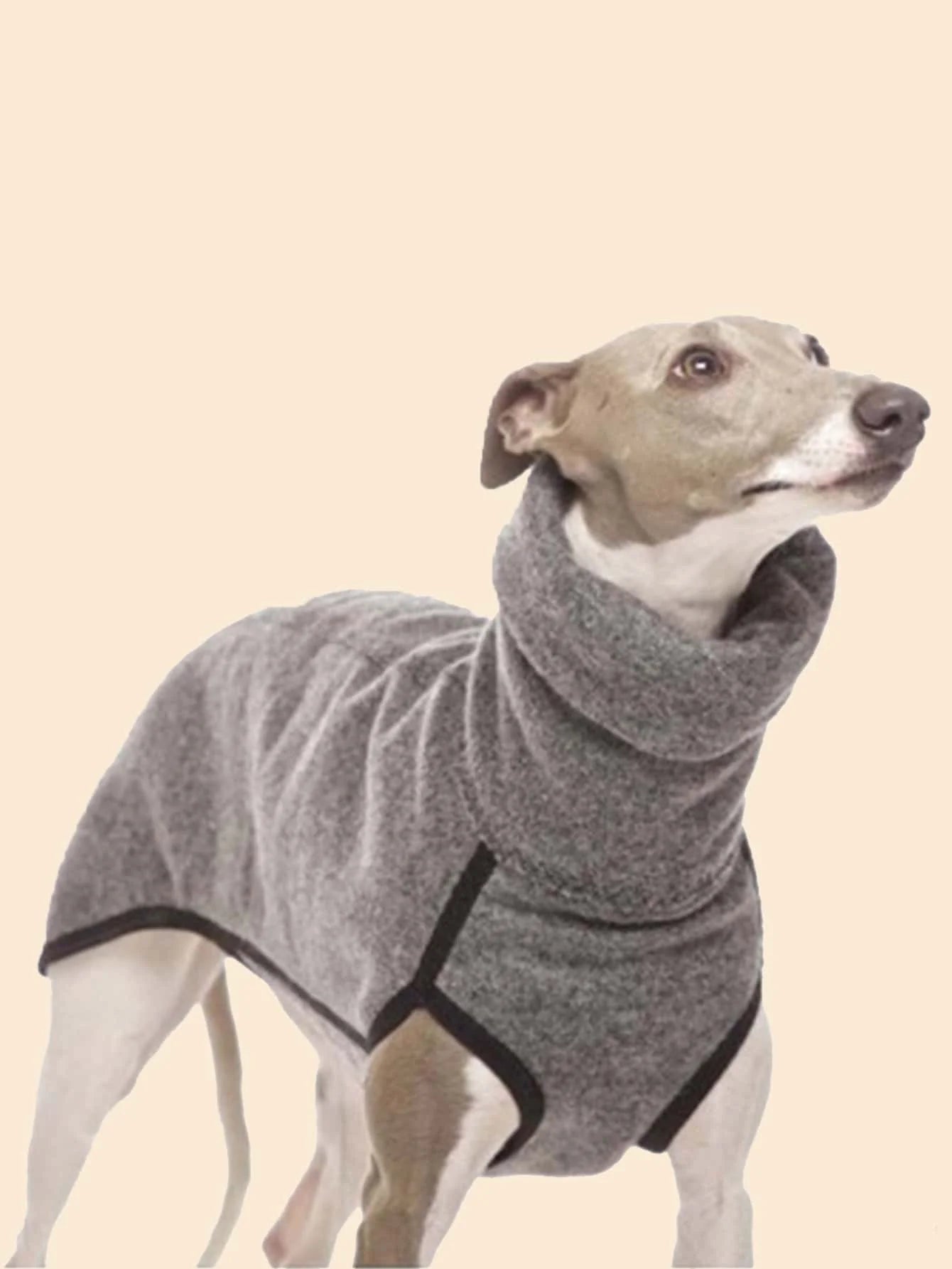 Casaco de Inverno Cozy Coat para o seu Pet