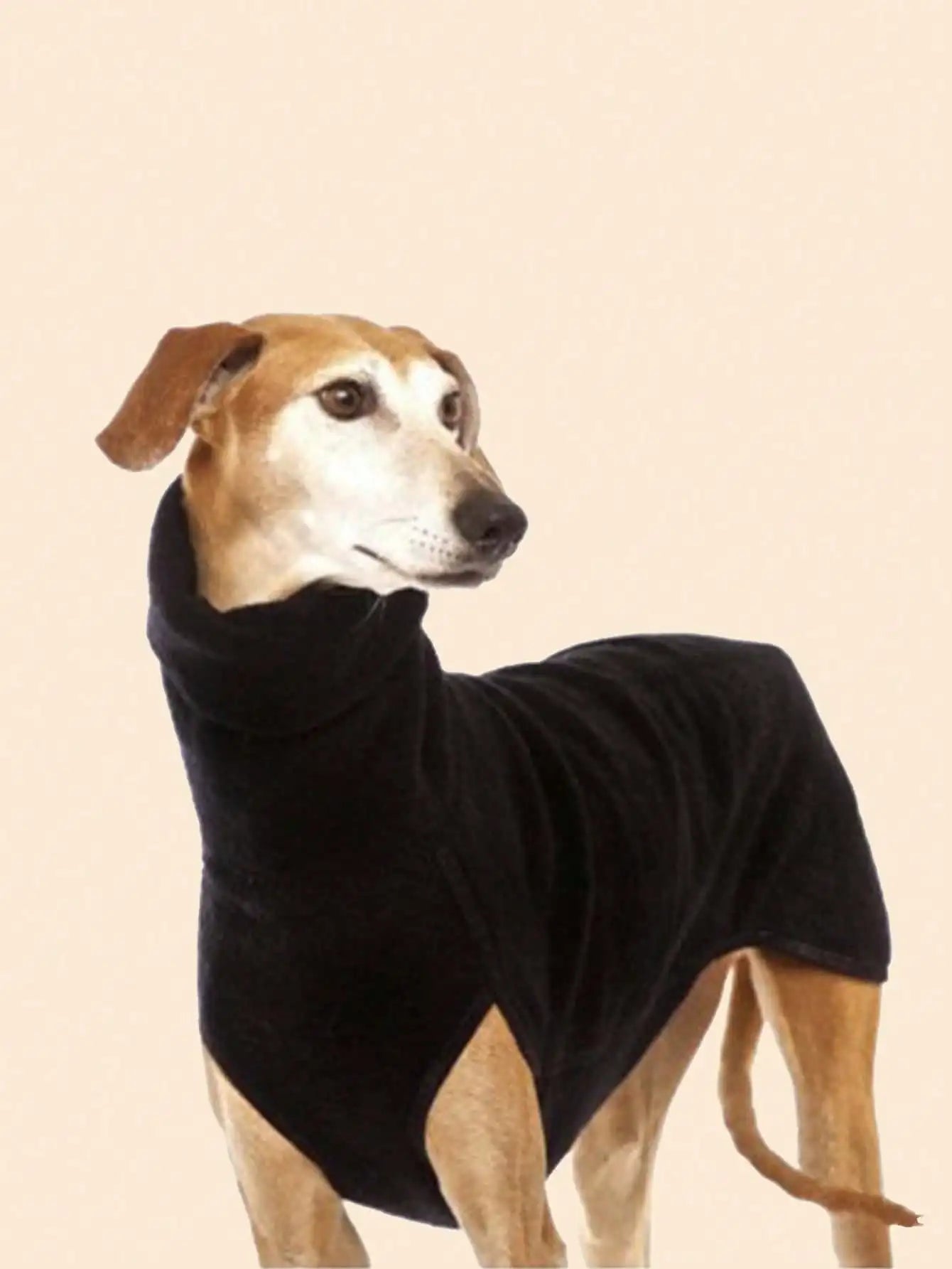 Casaco de Inverno Cozy Coat para o seu Pet